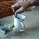 tumblr_lq4upmbm8r1qjykxzo1_500 tumblr_lq4upmbm8r1qjykxzo1_500